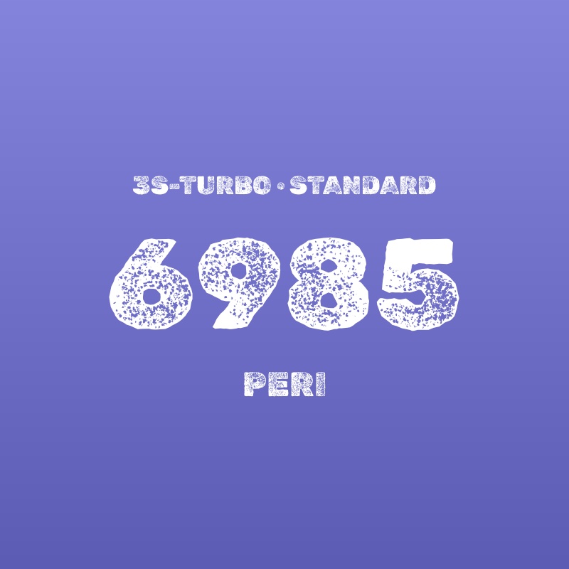 3s-TURBO 500mm幅 6985 ペリ