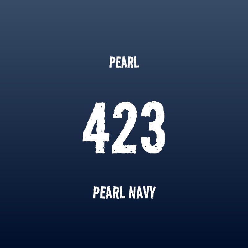 PEARL 500mm幅 423 パールネイビーブルー